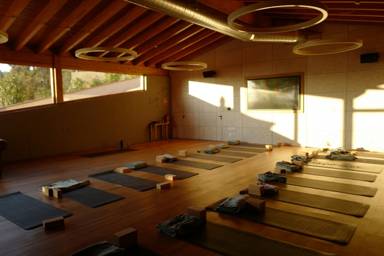 Small Lifestyle Adjustments That Deliver Massive Health Results